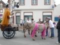 carnaval avril 2014 (23).jpg